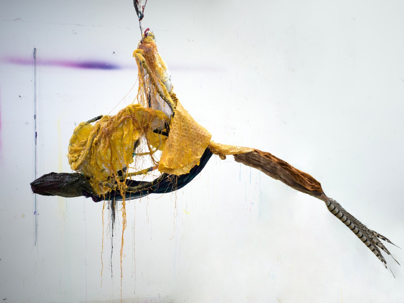 the Aging Bird 1