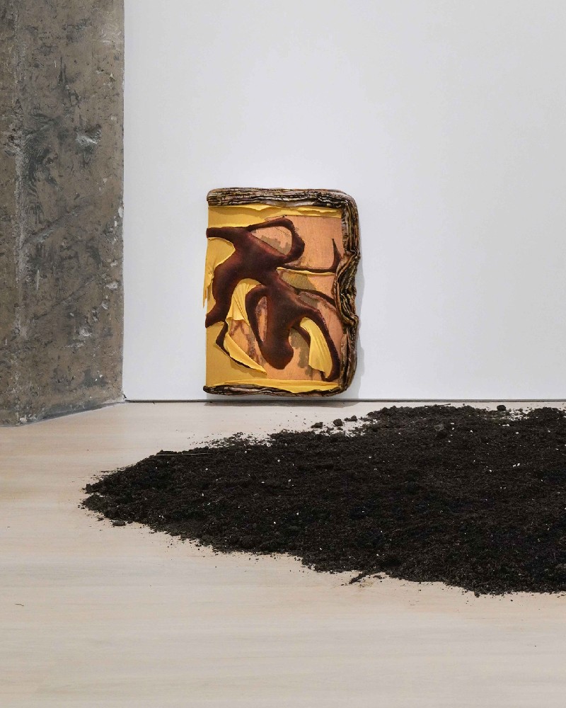 Leaves and Roots